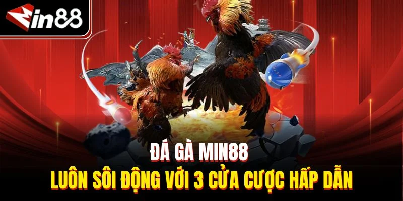 Đá gà Min88 luôn sôi động với 3 cửa cược hấp dẫn